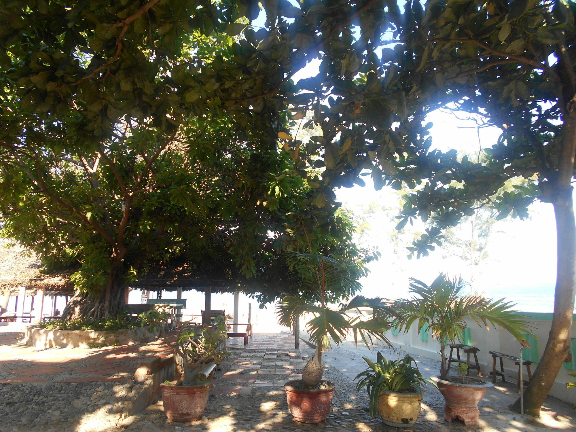 Suoi Nuoc Resort Mui Ne Esterno foto